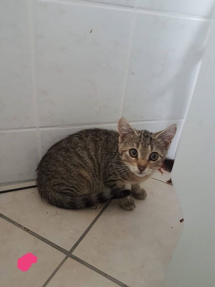 Esgehtweiter2.jpg (720×960)