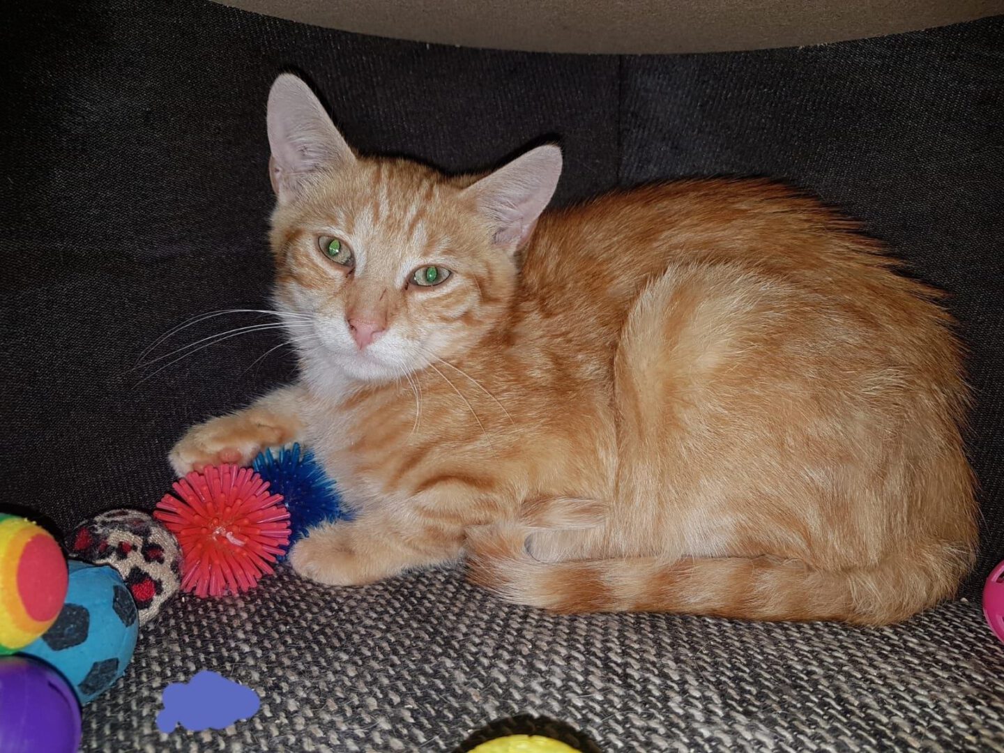 Esgehtweiter3.jpg (1600×1200)