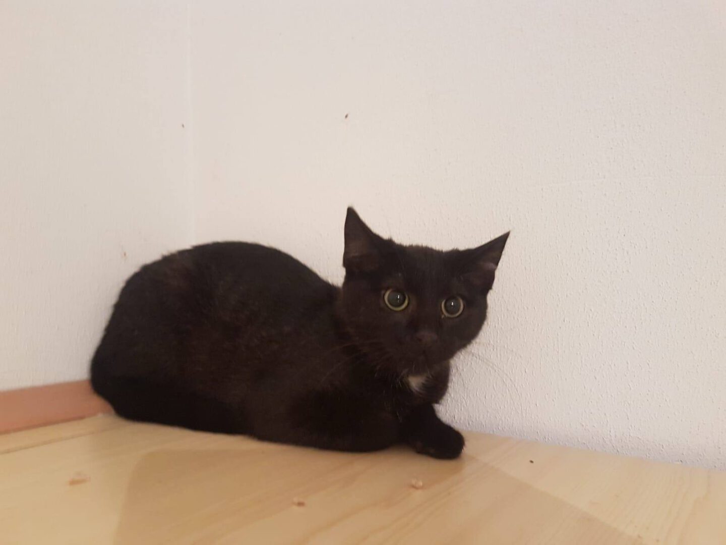 Esgehtweiter4.jpg (1600×1200)