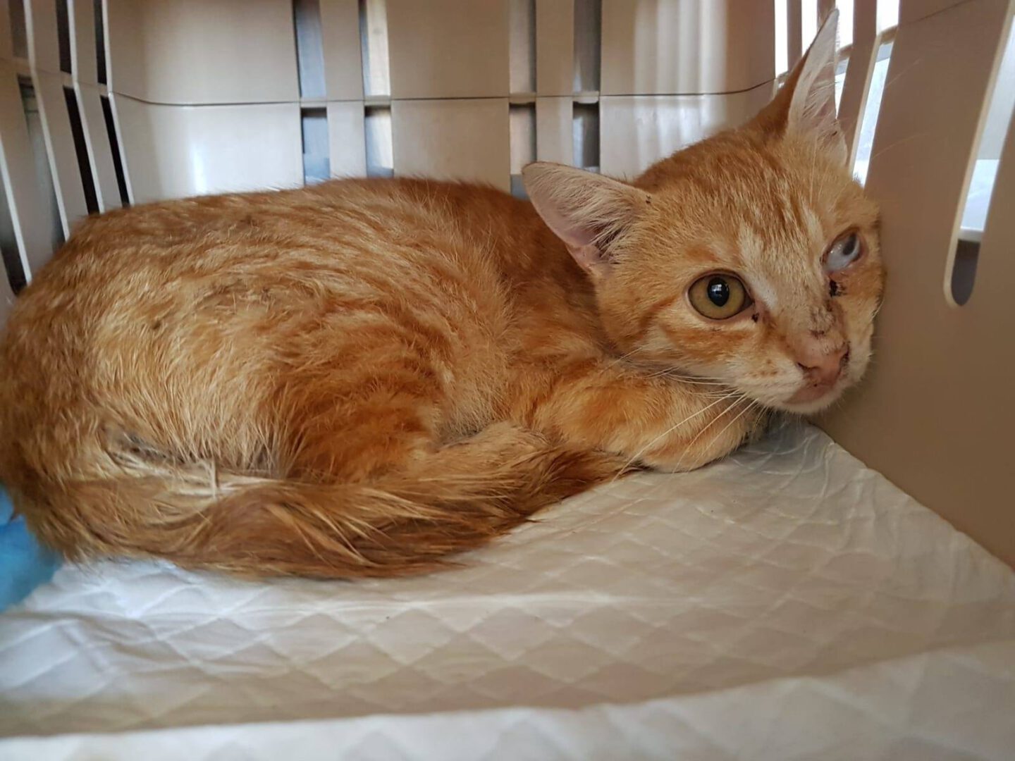 Esgehtweiter5.jpg (1600×1200)