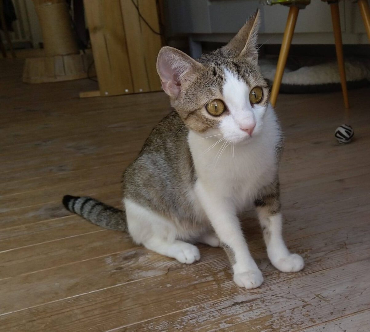 Esgehtweiter6.jpg (1600×1437)