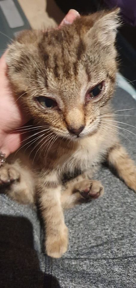 Esgehtweiter7.jpg (454×960)