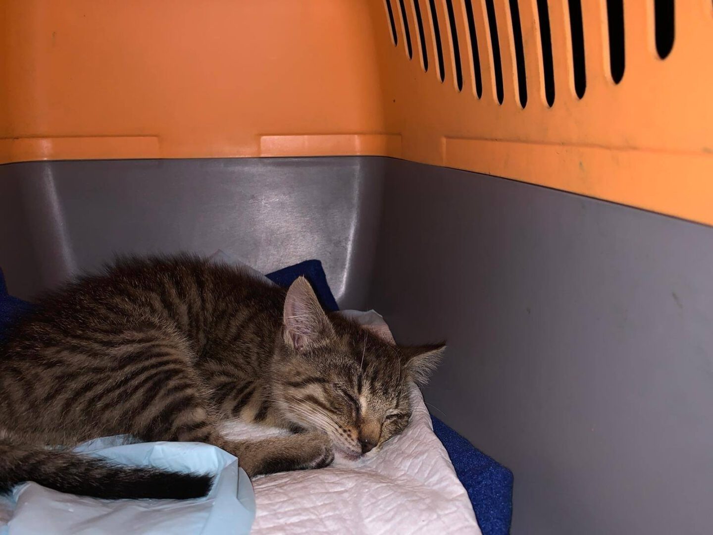 Esgehtweiter8.jpg (1600×1200)