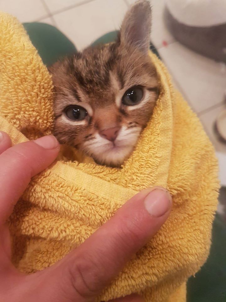 Esgehtweiter9.jpg (720×960)