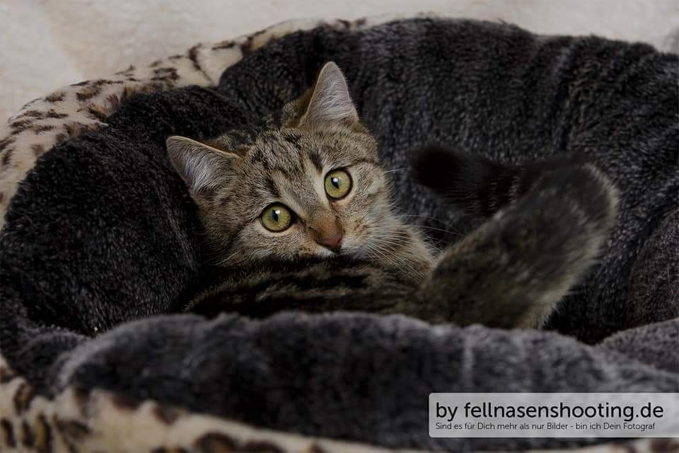 FB_IMG_1517088258544.jpg (960×640)