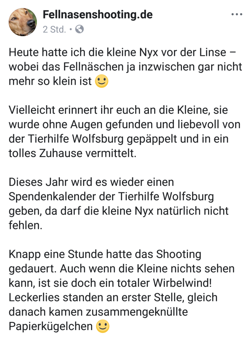 Fellnasenshooting.png (1417×1893)