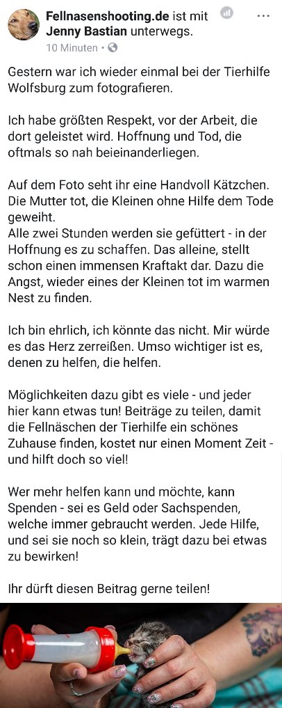 Fellnasenshooting