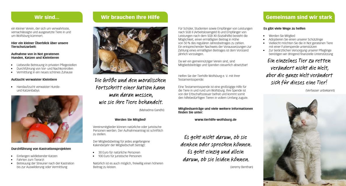 Flyer_S2.jpg (1187×638)