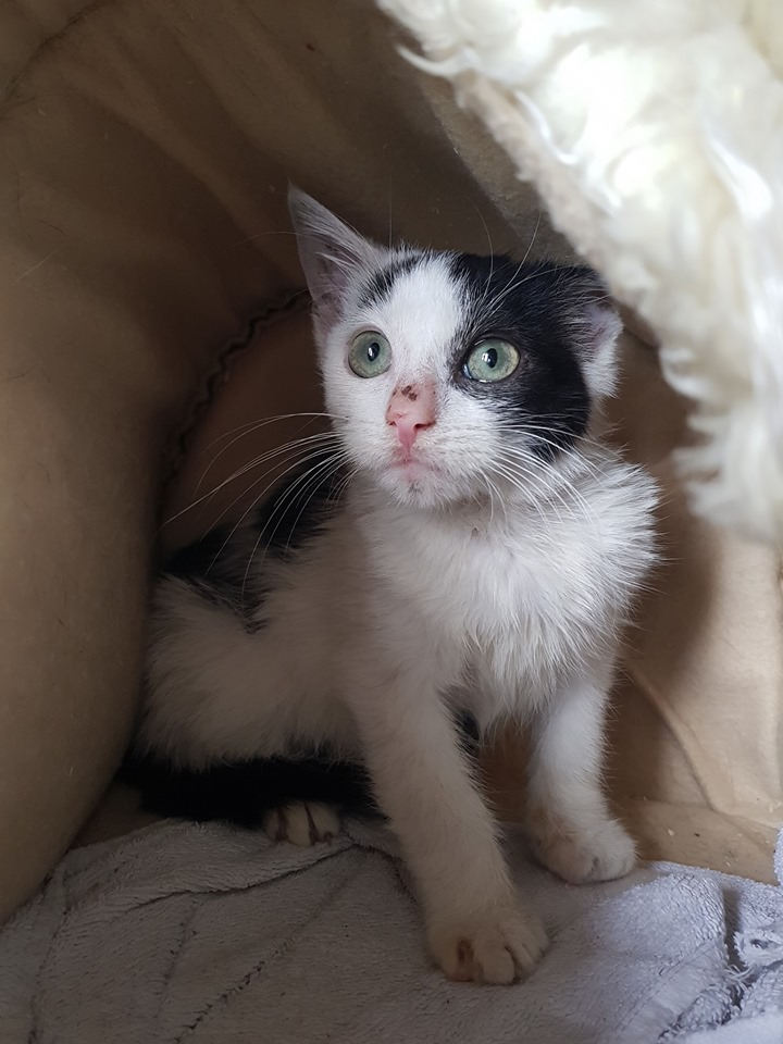 Gewusel1.jpg (720×960)