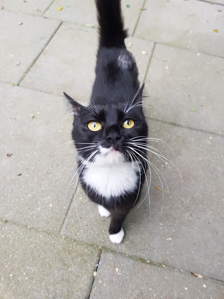 Gewusel5.jpg (720×960)