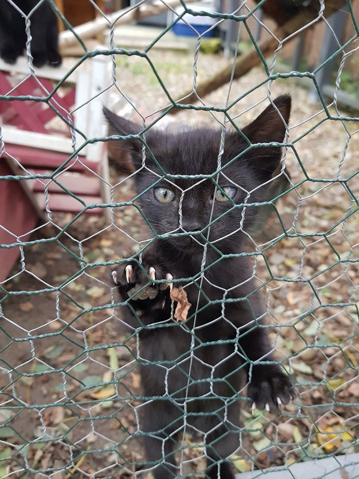 Gewusel6.jpg (720×960)