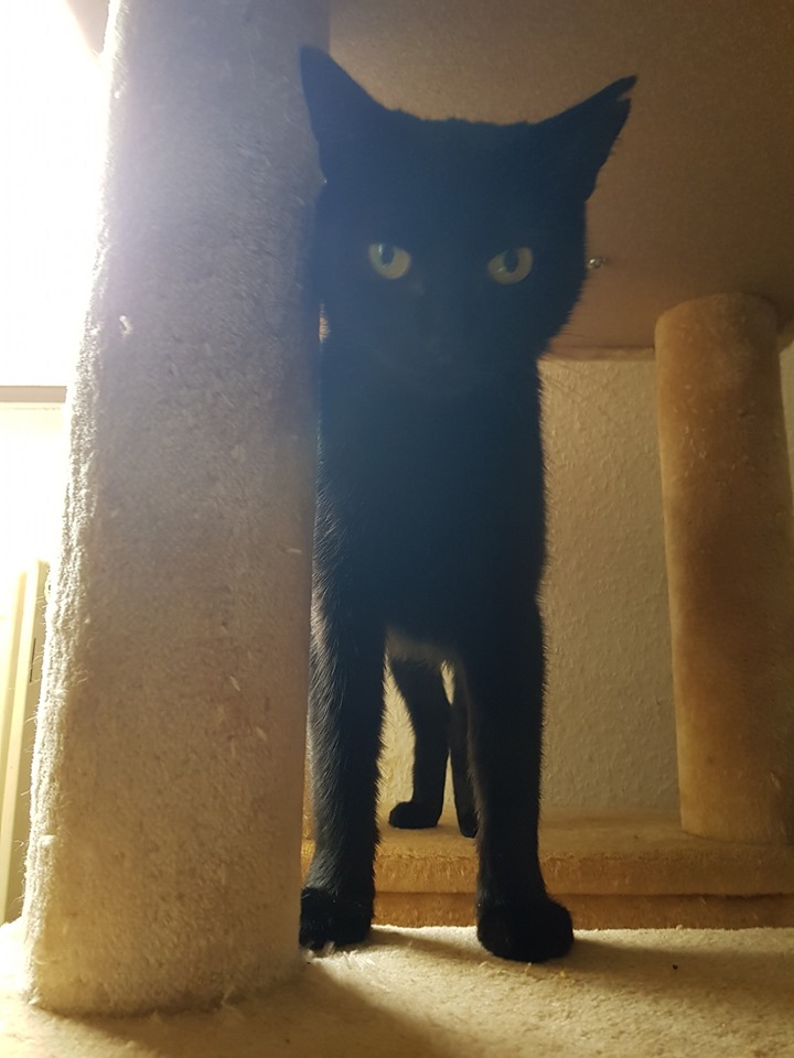 Gewusel8.jpg (720×960)