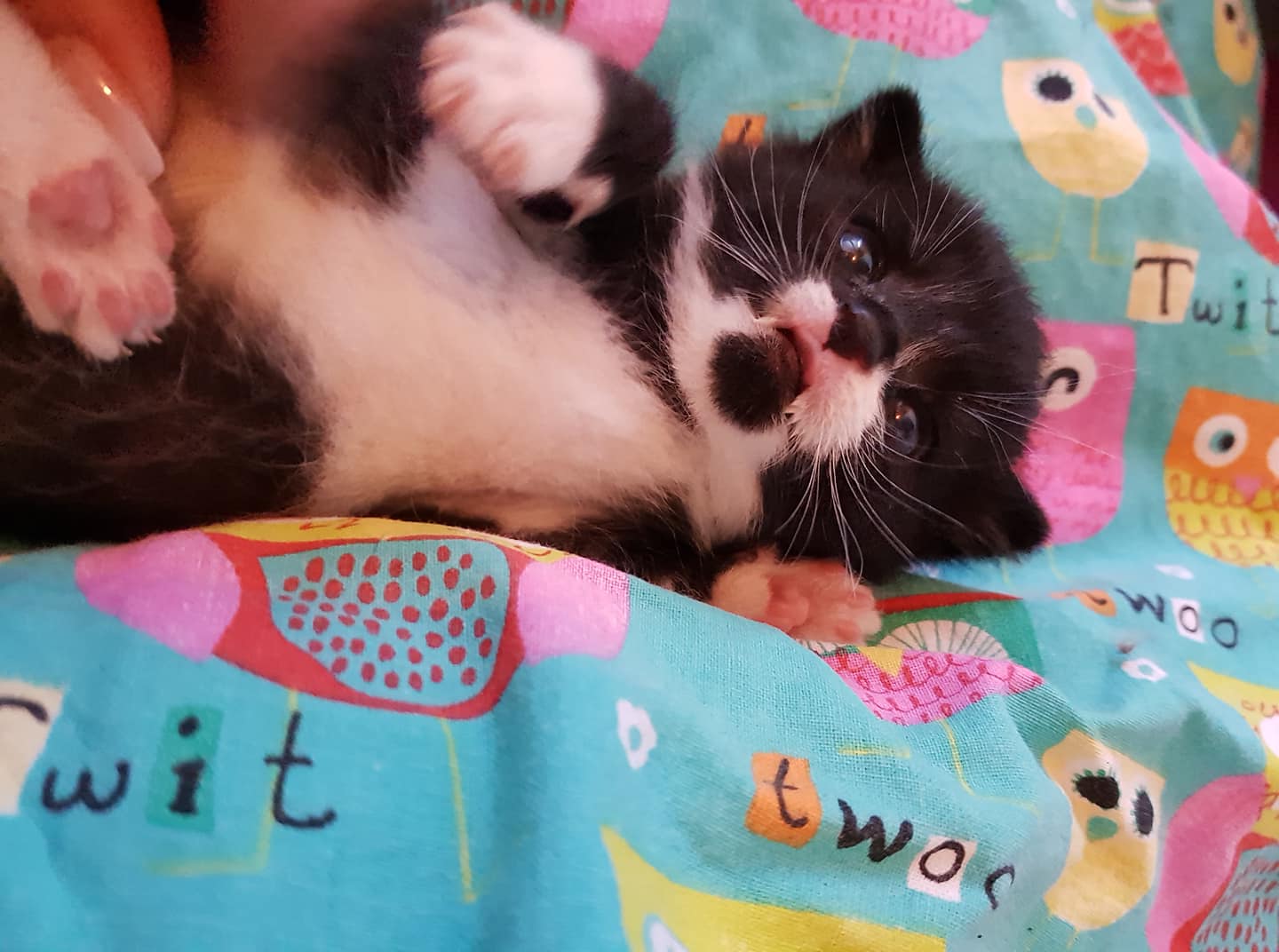 Hoch die Hände – Wochenende!