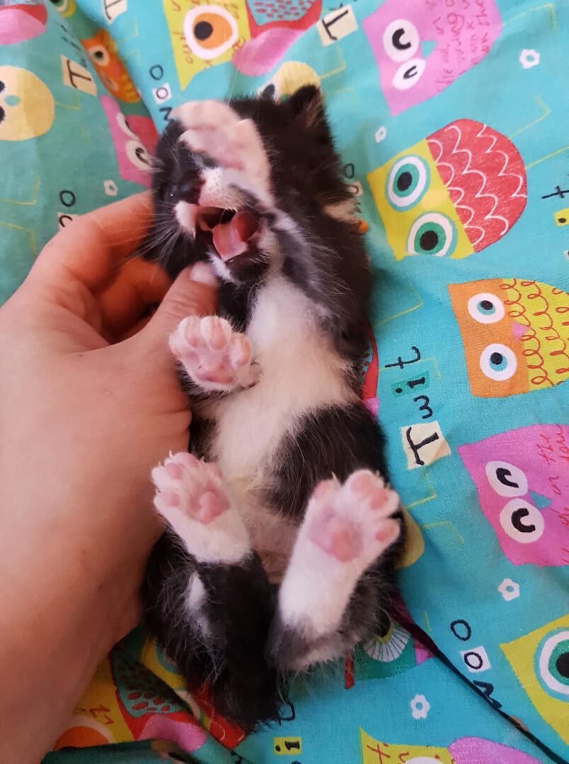 HochdieHände1.jpg (1072×1440)