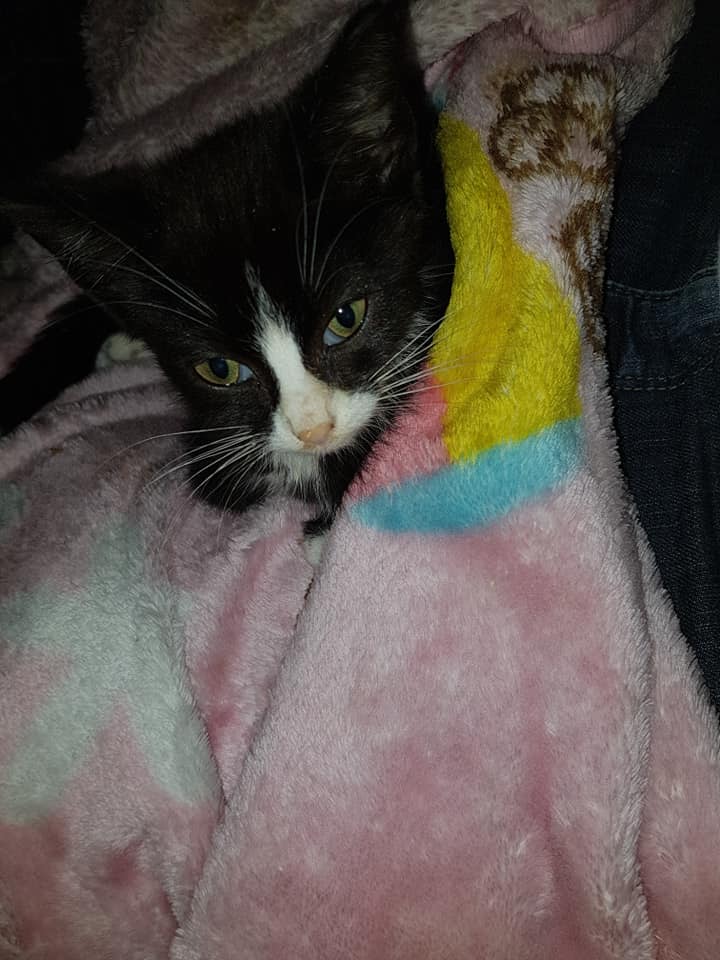 HopeSchlafen2.jpg (720×960)