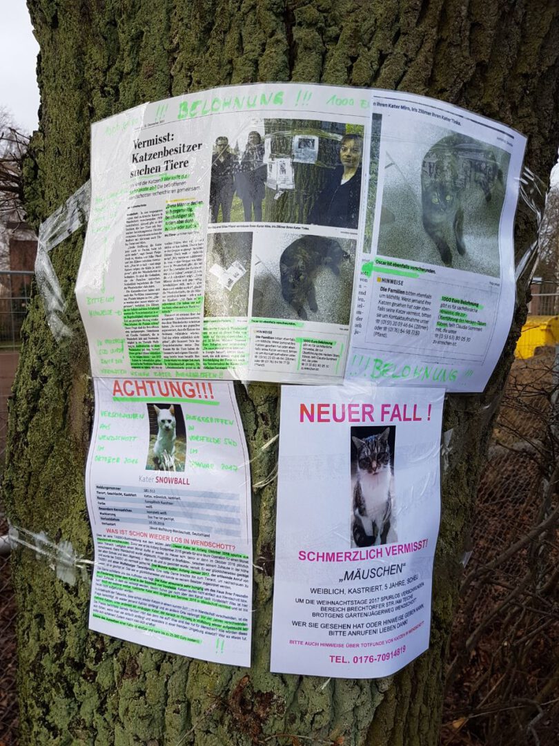 IMG-20180107-WA0002.jpg (960×1280)