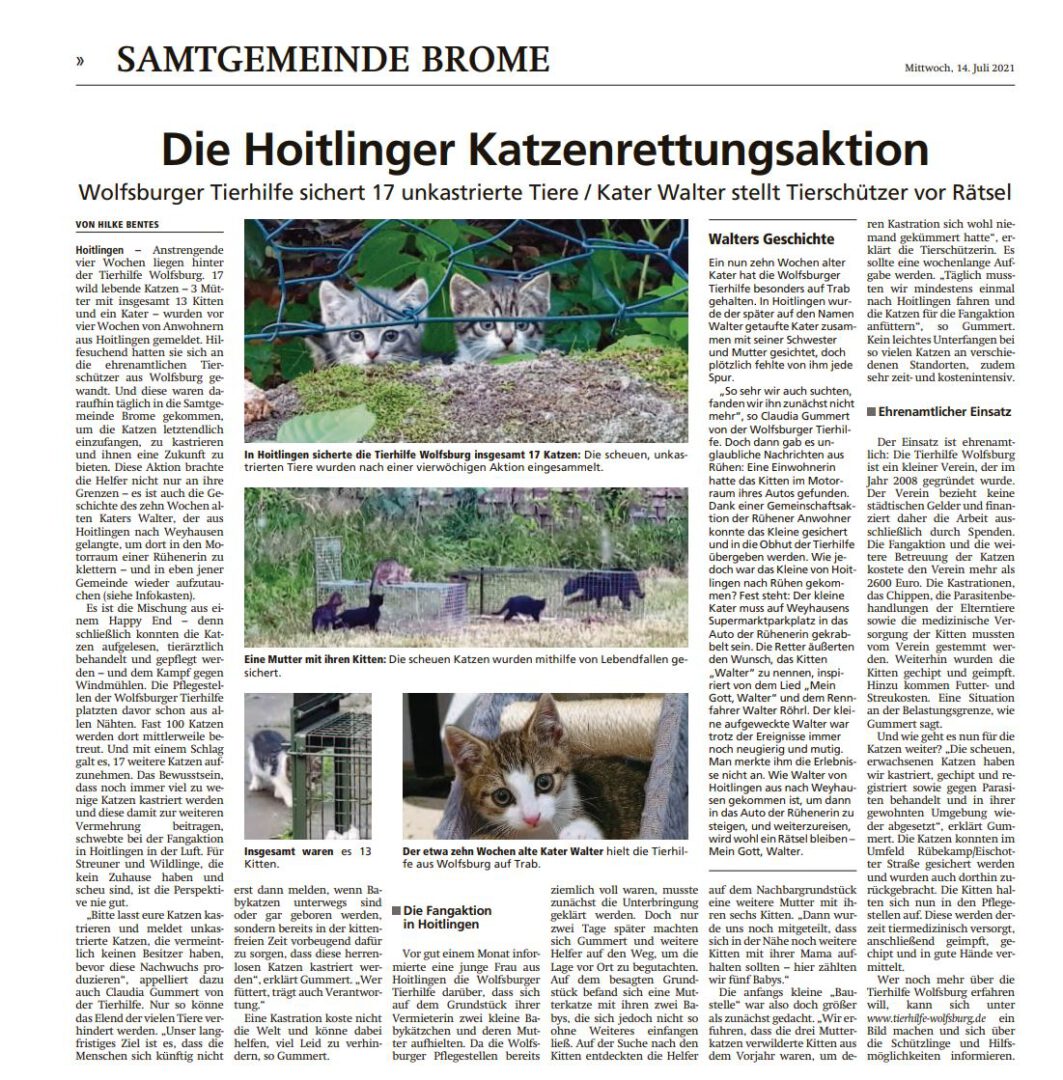 Isenhagener Kreisblatt.JPG (1101×1119)