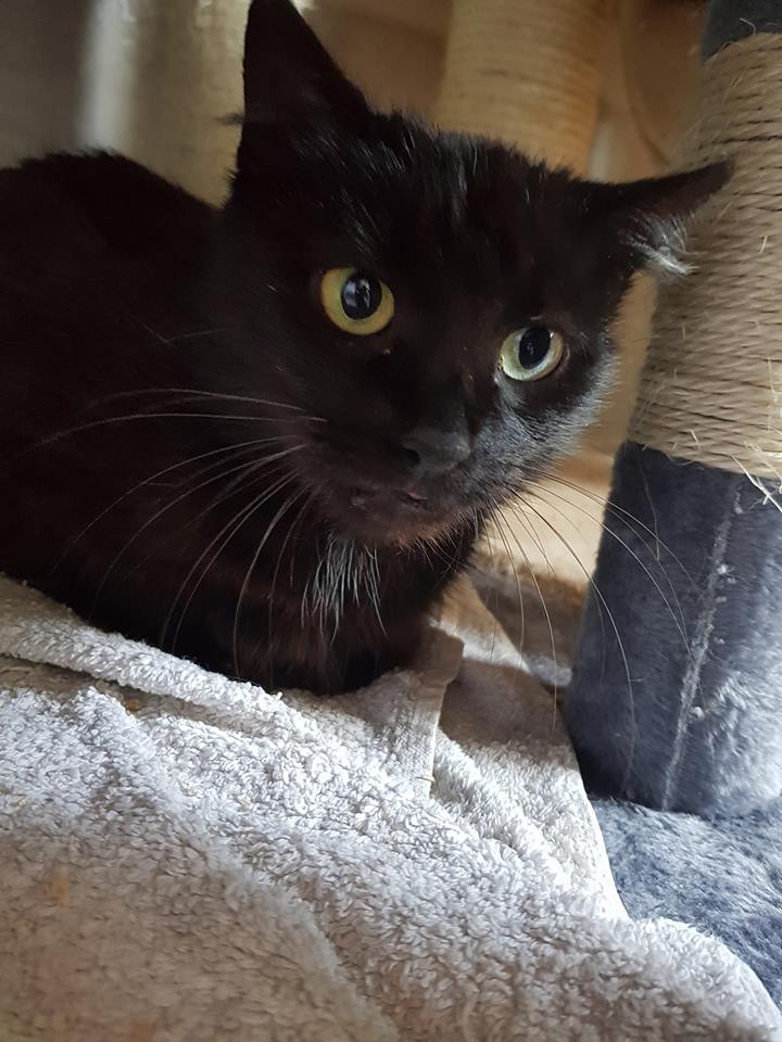 Karla.jpg (720×960)