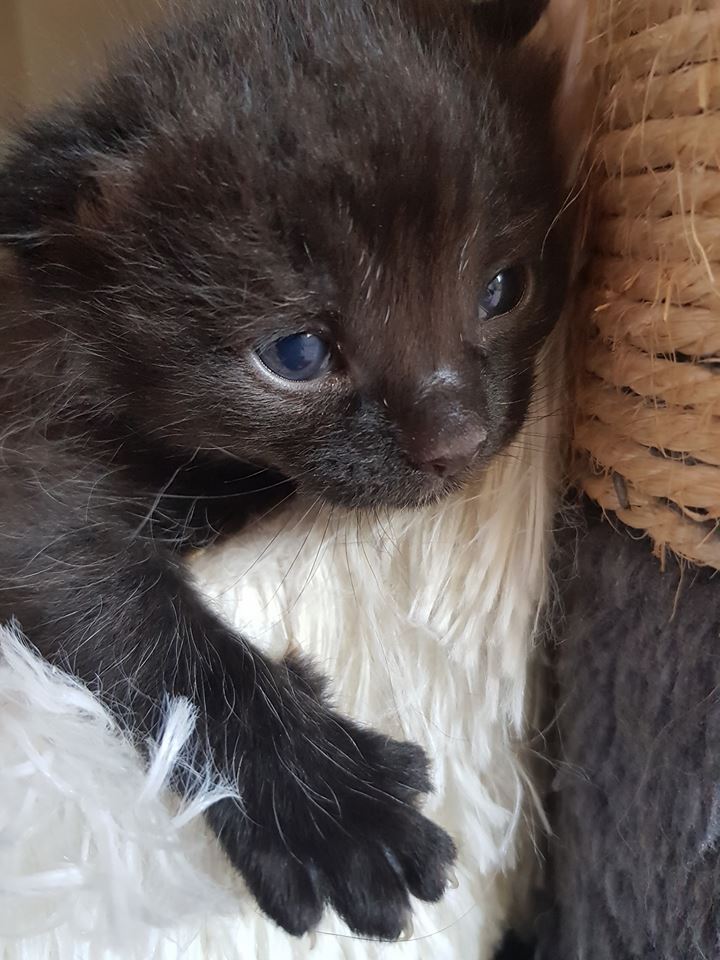 … uuuuuuuuuuuunnnnnnnnd – Action!!!!!!!!!!!!!