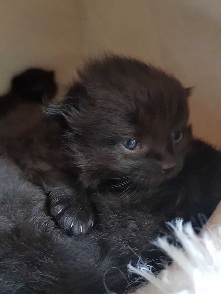 KarlaBaby2.jpg (720×960)