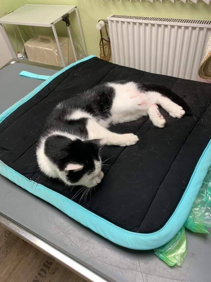 KarlaKarfunkel.jpg (720×960)