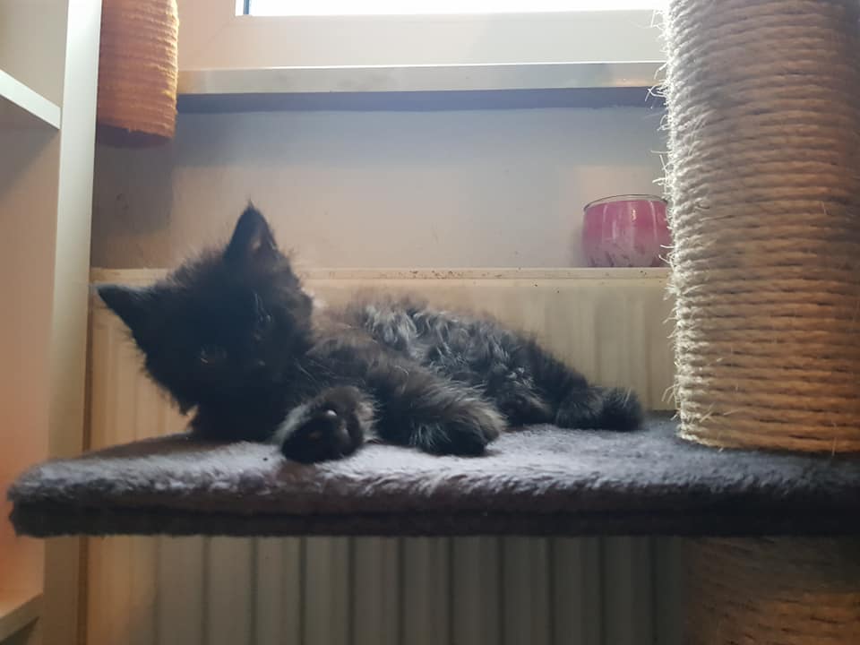 KarlaUndBabys.jpg (960×720)