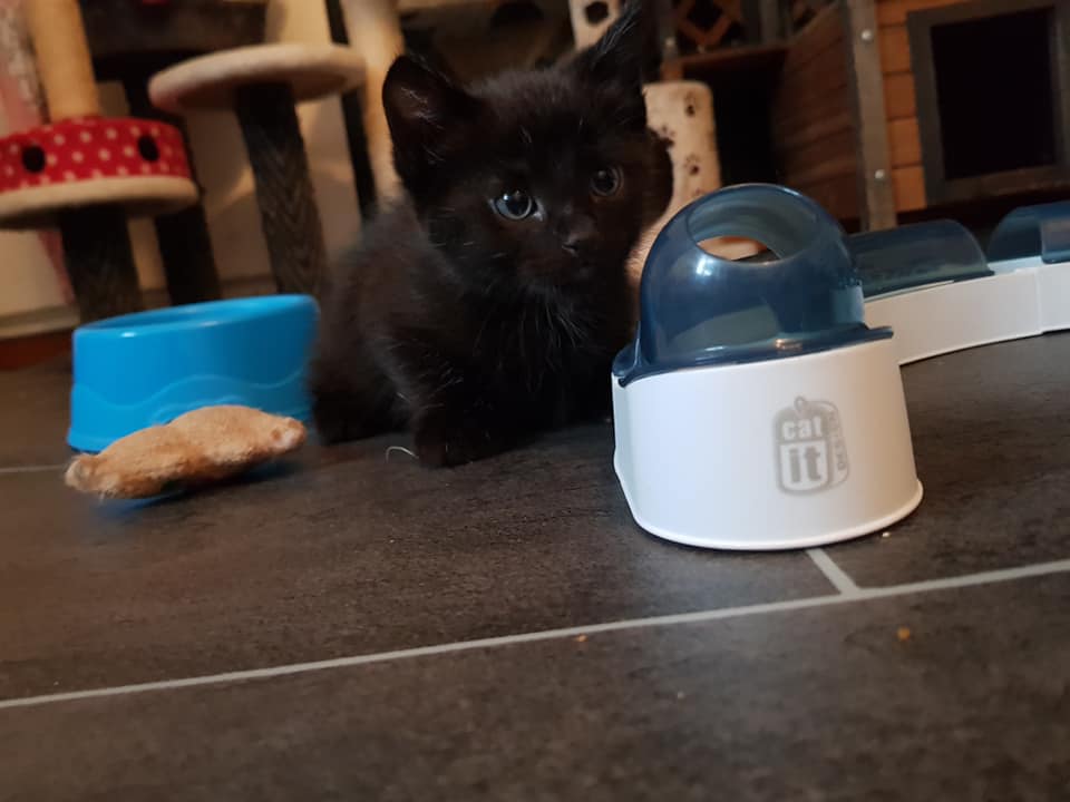 KarlaUndBabys1.jpg (960×720)