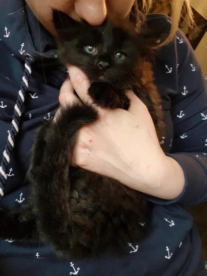 – Benjamin & Otto –