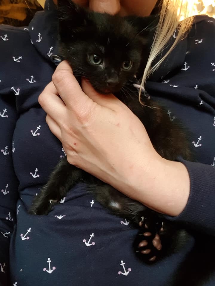 KarlaUndBabys3.jpg (720×960)