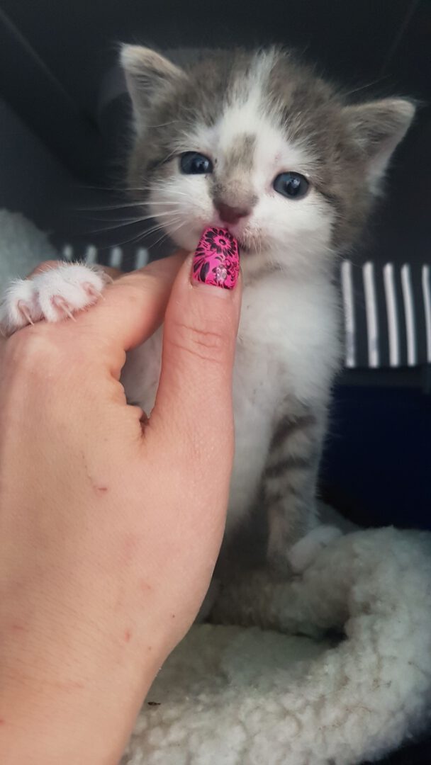 Laeuft.jpg (1152×2048)