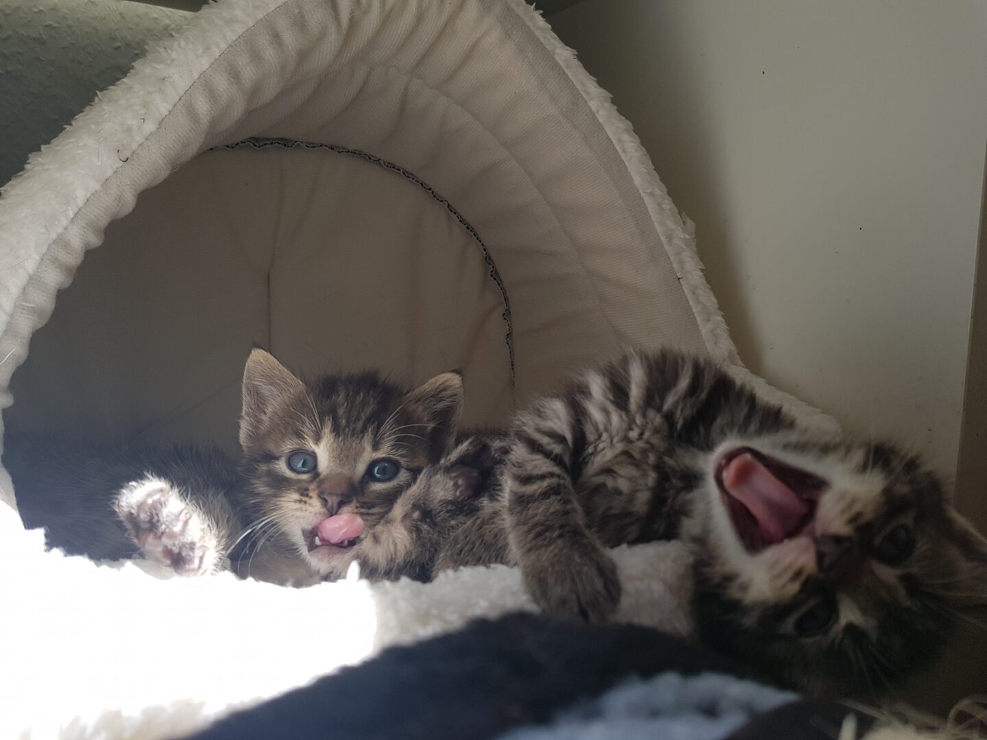 Läuft bei den Flaschis :-)