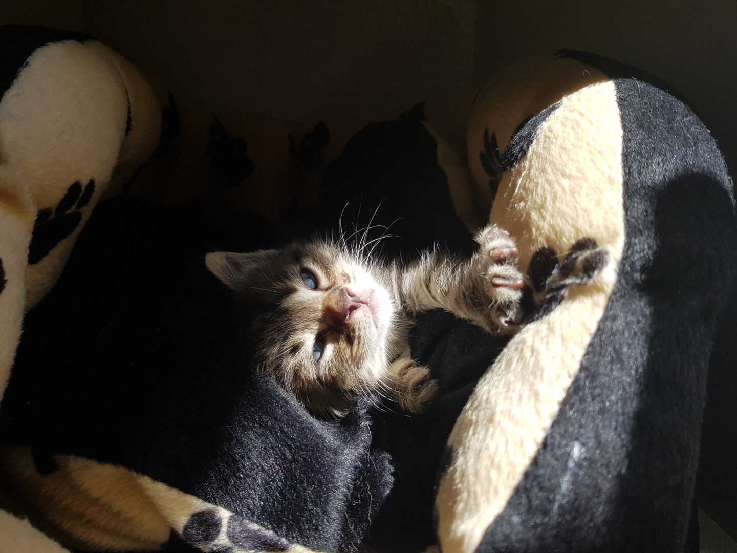 Laeuft2.jpg (2048×1536)