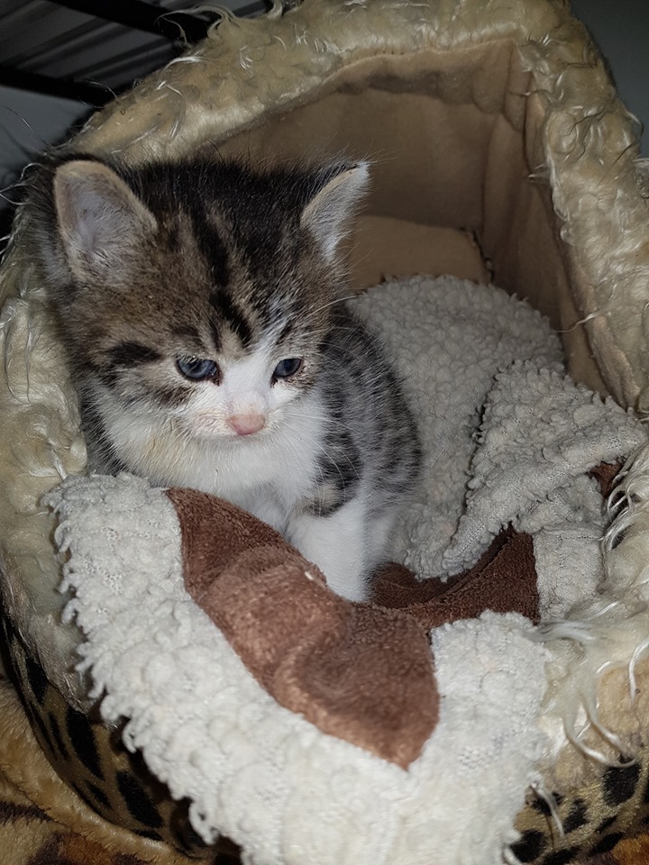 Und erste Nacht überstanden …