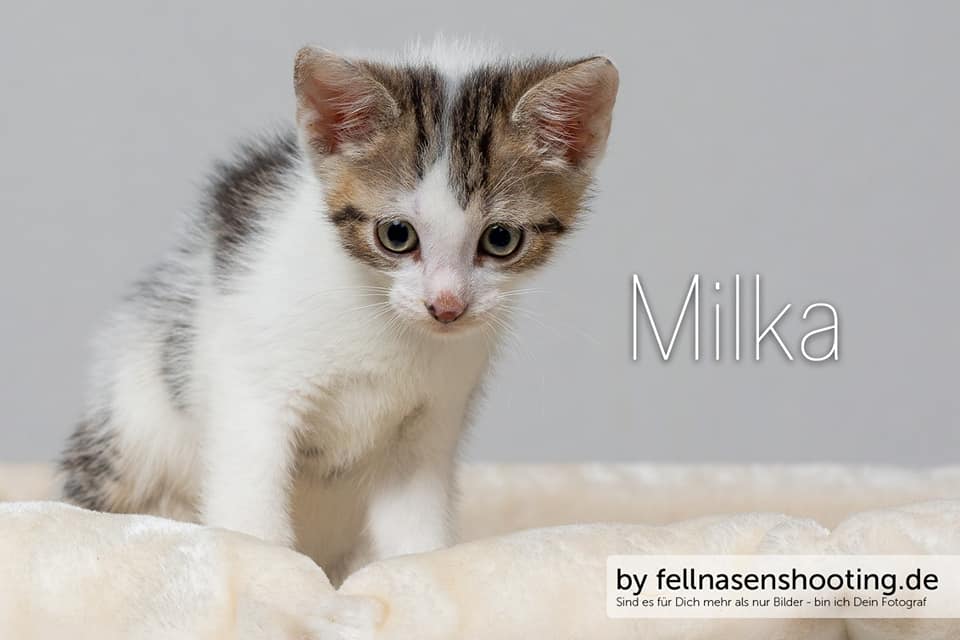 Milka.jpg (960×640)