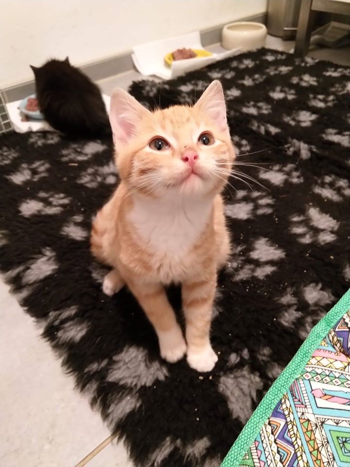 Neuzugänge.jpg (720×960)