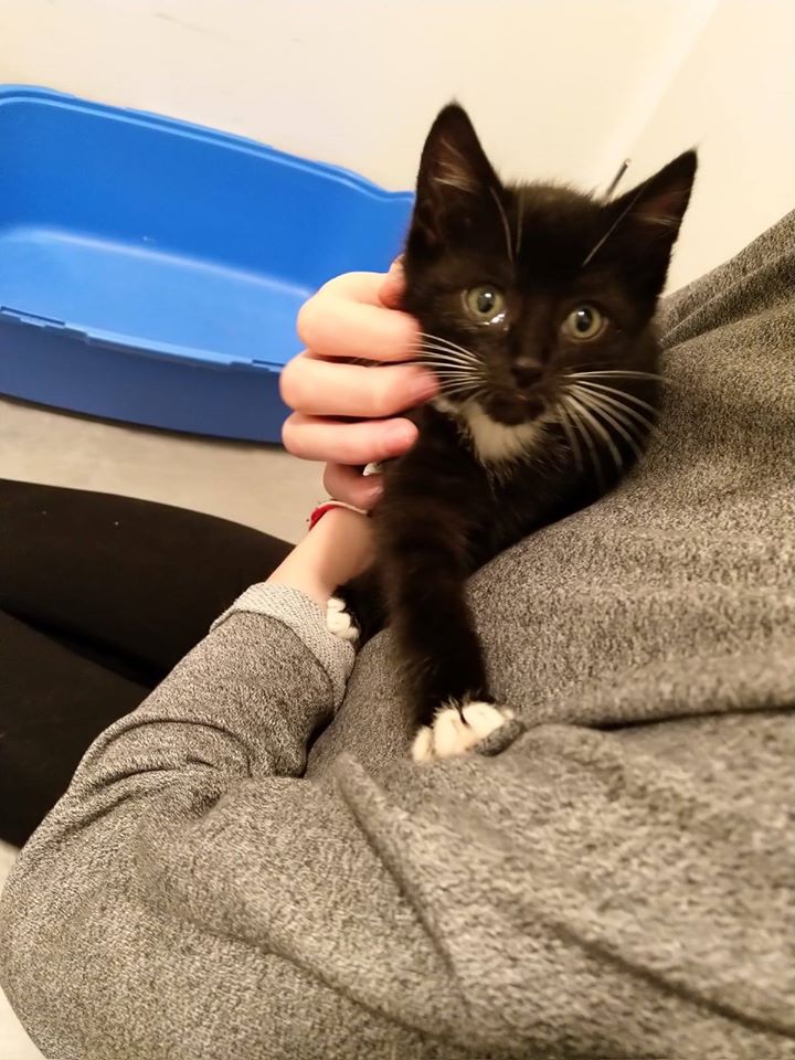 Neuzugänge1.jpg (720×960)