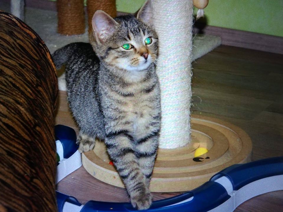 Neuzugänge10.jpg (959×720)