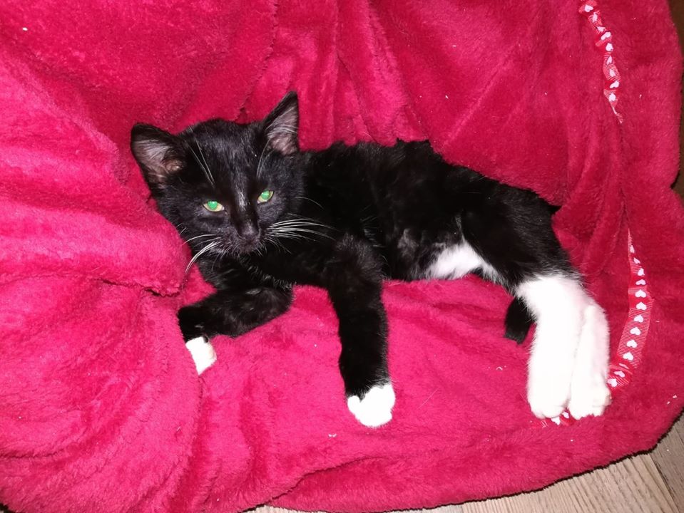 Neuzugänge12.jpg (959×720)