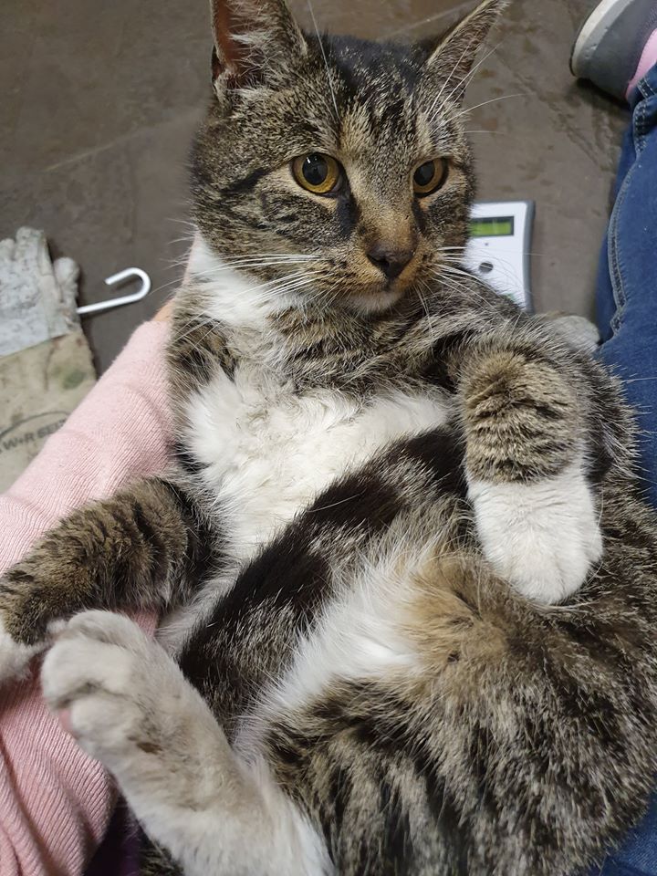 Neuzugänge14.jpg (720×960)