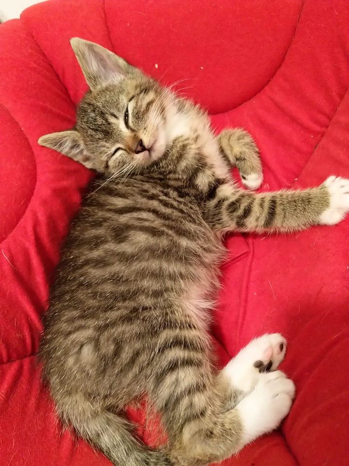 Neuzugänge2.jpg (720×960)