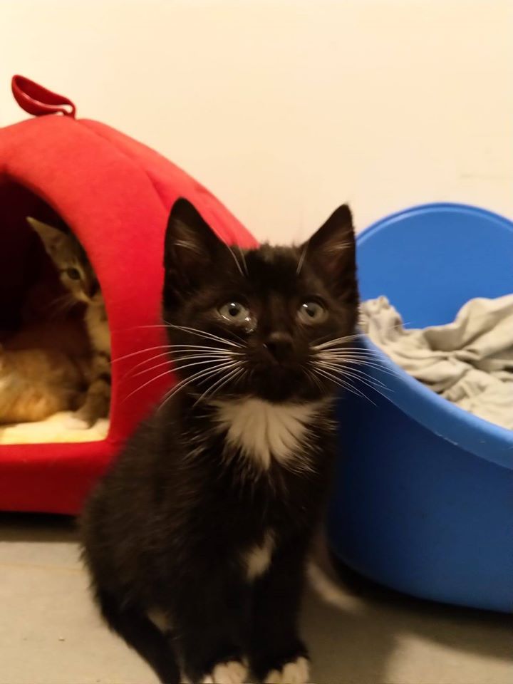 Neuzugänge3.jpg (720×960)