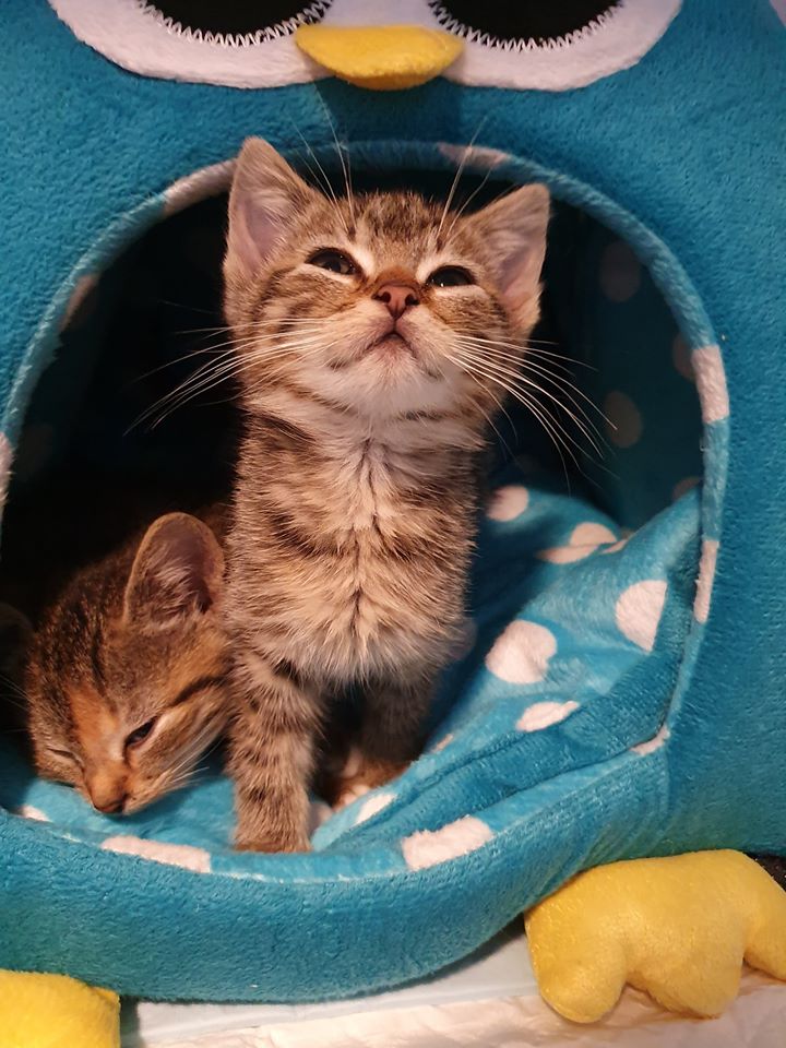 Unsere bisherigen Neuzugänge in dieser Woche.