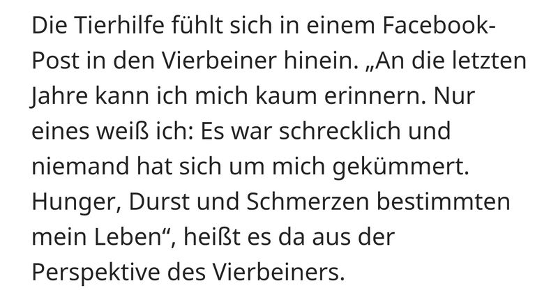 News381204202.jpg (800×423)