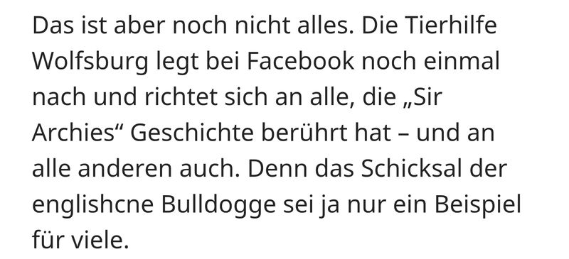 News381504203.jpg (800×365)