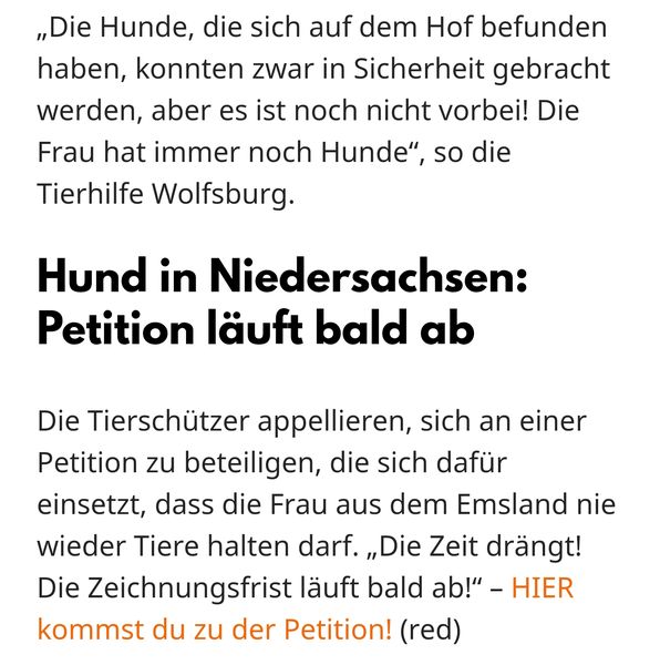 News381504204.jpg (596×600)