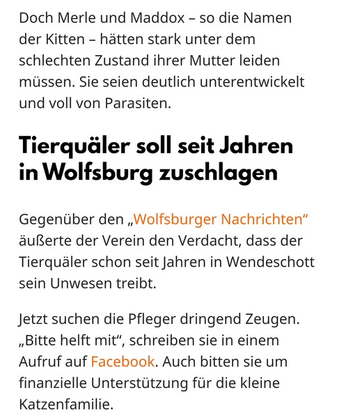 News383.jpeg (484×600)