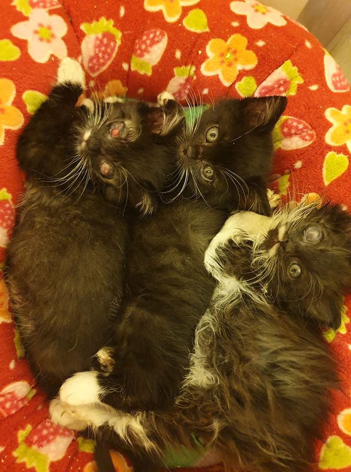 Danke, dass Ihr uns nicht aufgegeben habt!