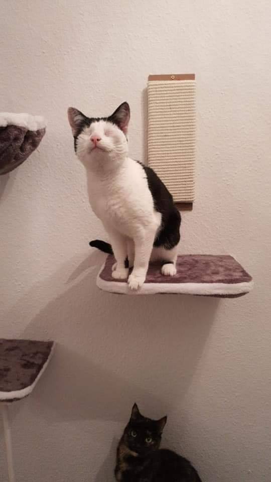 Grüße von unserer großen, kleinen Nyx :-)