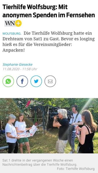 Sat1Neu.jpg (339×600)