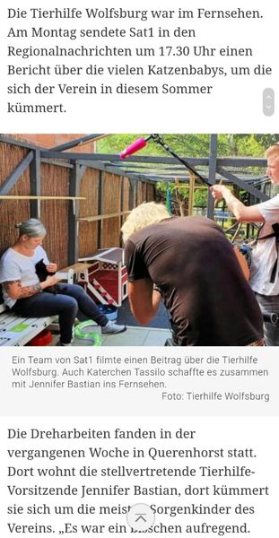 Sat1Neu1.jpg (311×600)